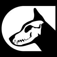K9 Digital logo